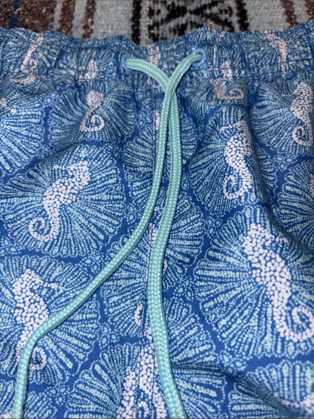 Vineyard Vines Swim Truck - Picture 4 of 11